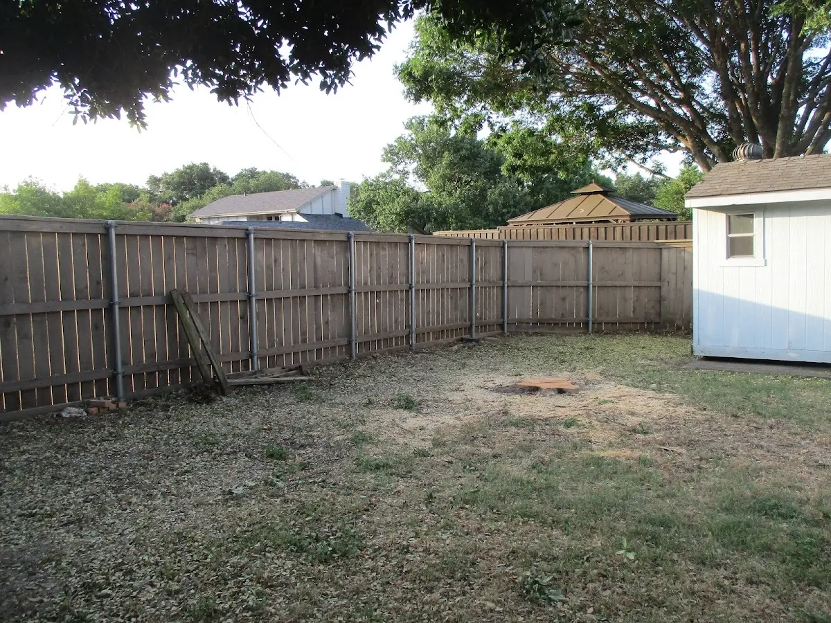 Cleared yard after professional tree removal in Salvisa